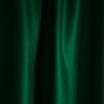 Merino Wool Baize – Intelligence Green