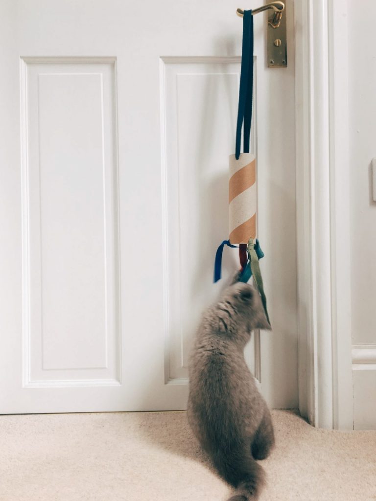 Eco-friendly door hanger cat toy