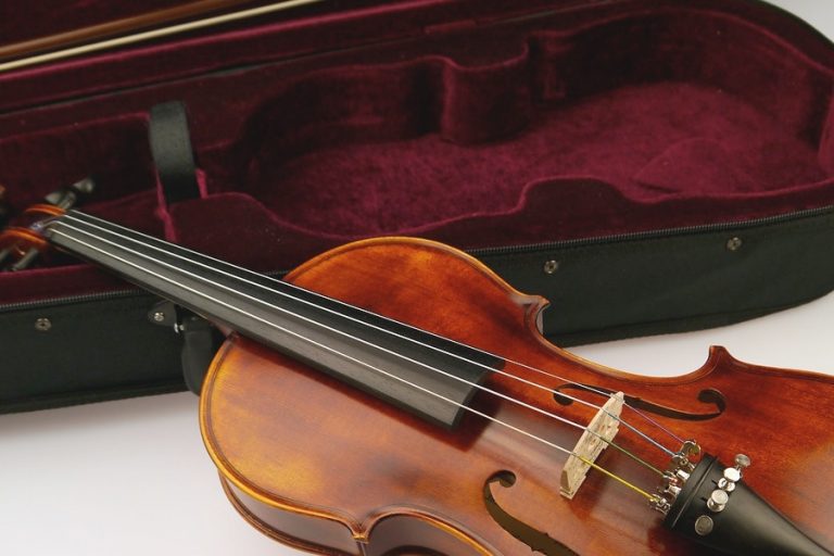 Read more about the article Instrument Case Fabric – For Lining and Repair